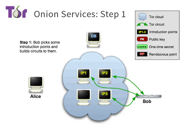 /posts/learn/how-do-onion-service-work/tor-onion-services-1_hucb38fa13cf6ecf7070c1168e9599e8f7_17222_600x420_resize_q75_h2_box_3.webp